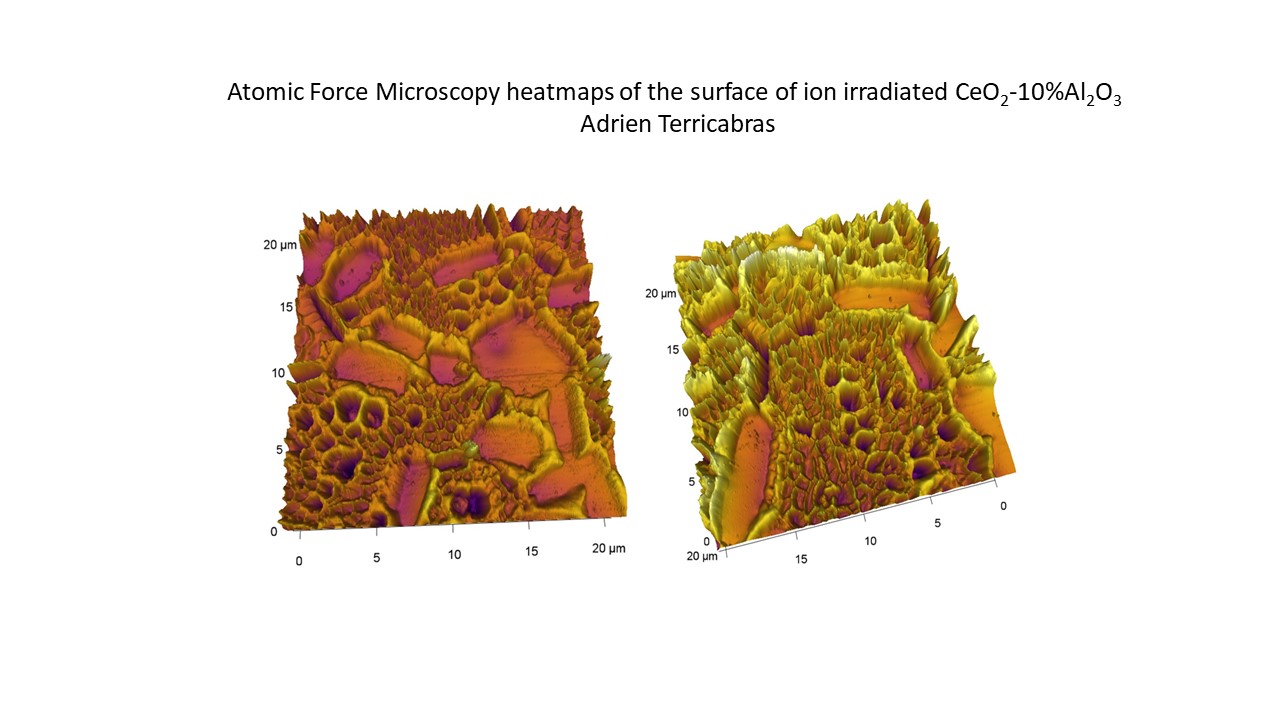 Atomic Force Microscopy